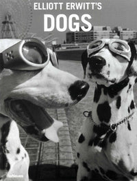 Elliott Erwitt's Dogs