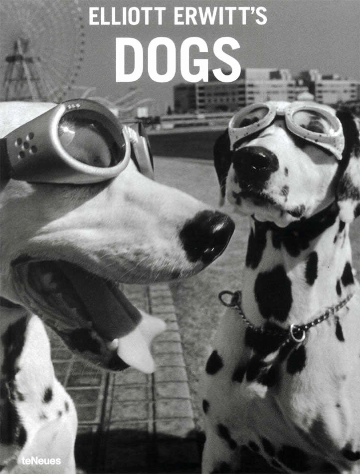 Elliott Erwitt's Dogs