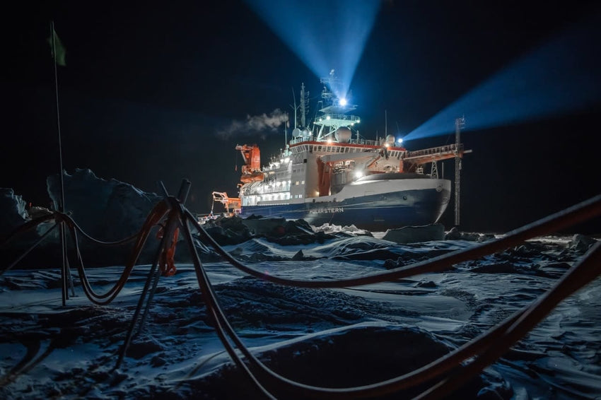 Esther Horvath: Into the Arctic Ice - The Largest Polar Expedition of All Time