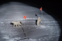 Esther Horvath: Into the Arctic Ice - The Largest Polar Expedition of All Time