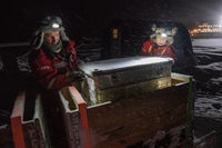 Esther Horvath: Into the Arctic Ice - The Largest Polar Expedition of All Time