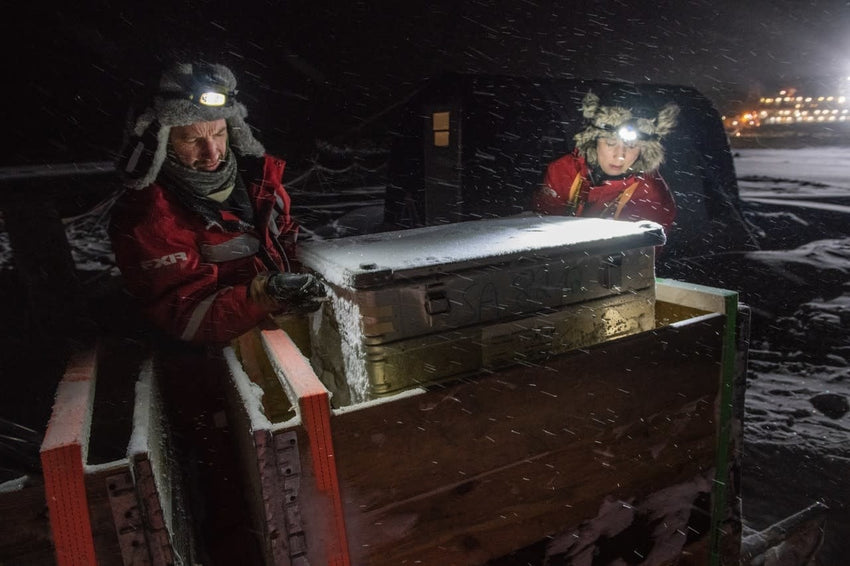 Esther Horvath: Into the Arctic Ice - The Largest Polar Expedition of All Time