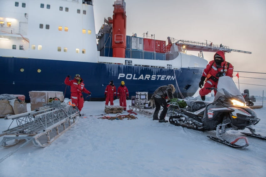 Esther Horvath: Into the Arctic Ice - The Largest Polar Expedition of All Time