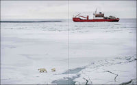 Esther Horvath: Into the Arctic Ice - The Largest Polar Expedition of All Time