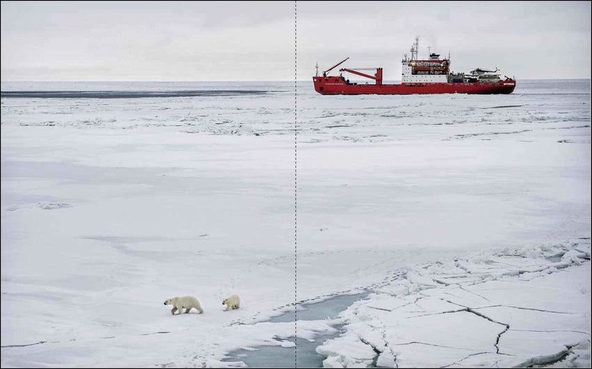 Esther Horvath: Into the Arctic Ice - The Largest Polar Expedition of All Time