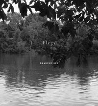 Dawoud Bey: An American Elegy