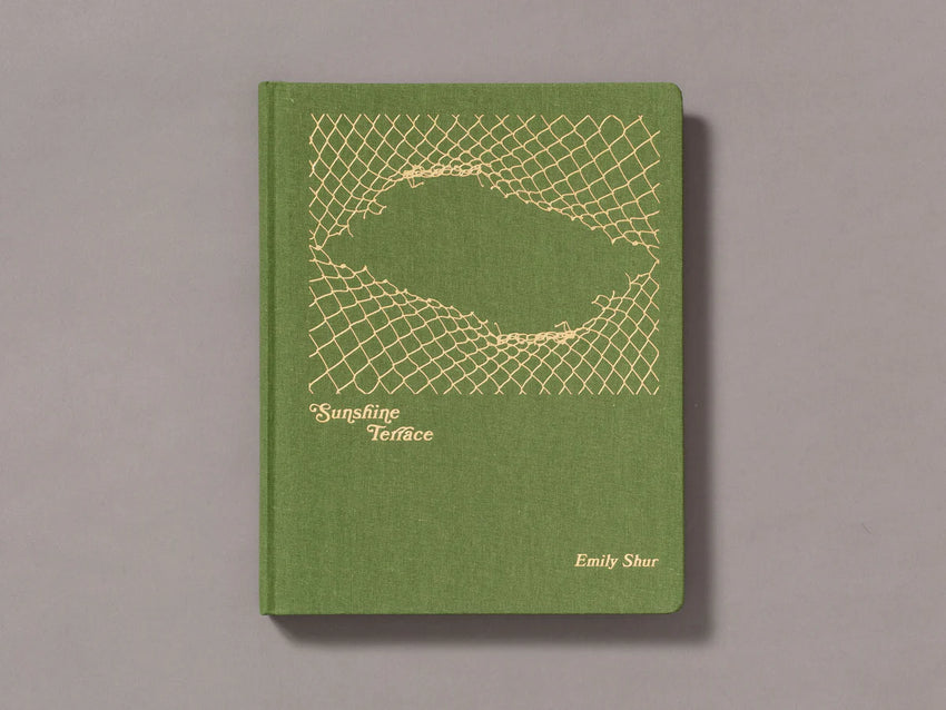 Emily Shur: Sunshine Terrace