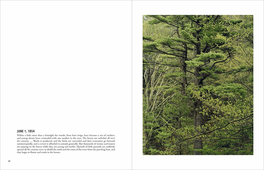 Eliot Porter: In Wildness Is the Preservation of the World
