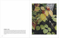 Eliot Porter: In Wildness Is the Preservation of the World