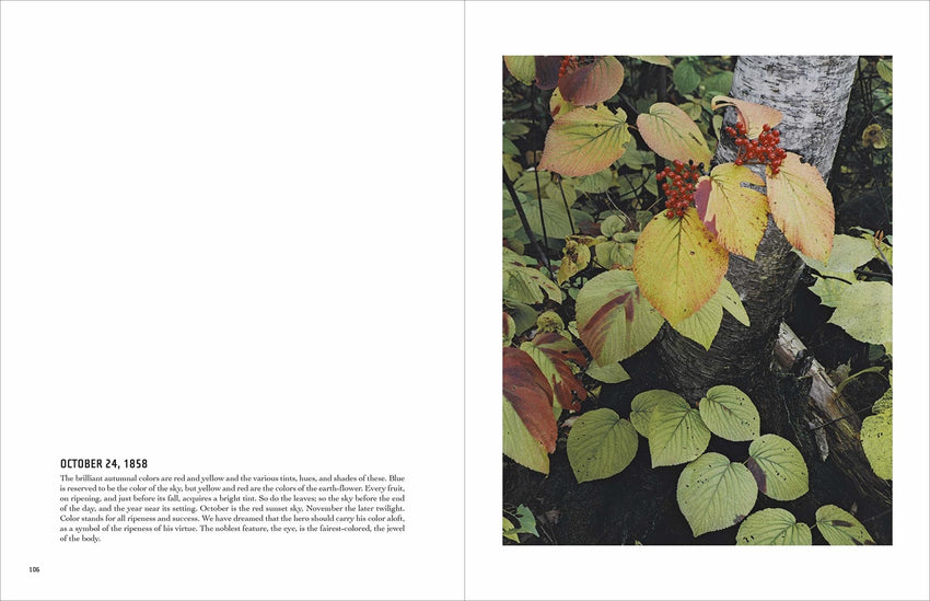 Eliot Porter: In Wildness Is the Preservation of the World