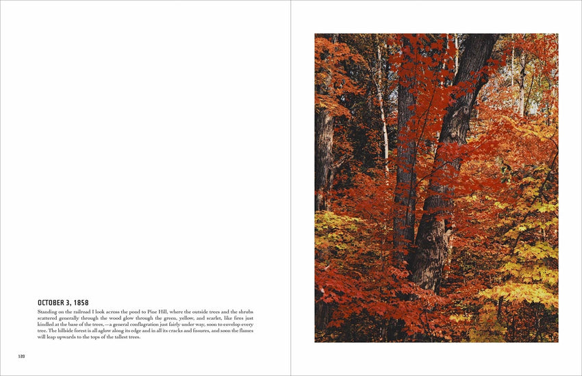 Eliot Porter: In Wildness Is the Preservation of the World
