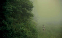Erik Madigan Heck: The Garden