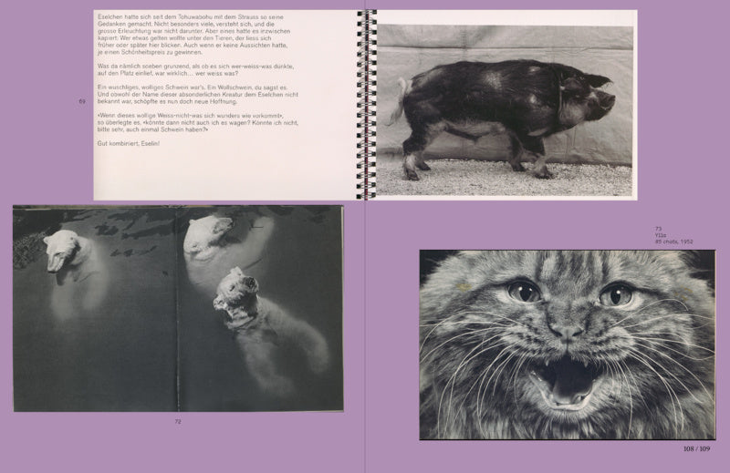 Anne Lacoste & Rose Durr: L is for Look