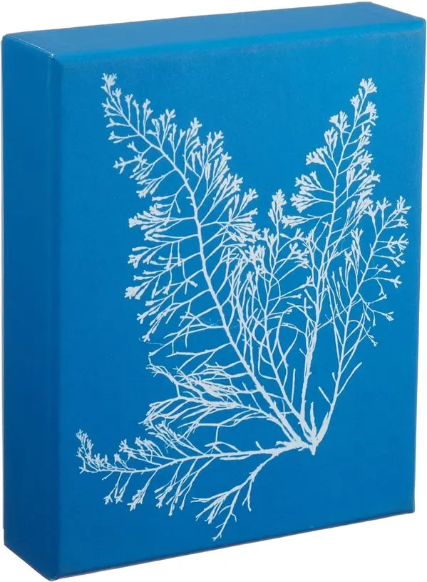 Sunprint Notecards