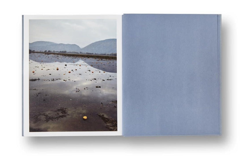 Gregory Halpern: ZZYZX