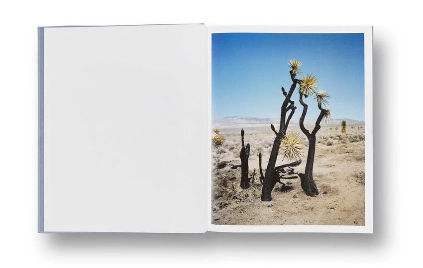 Gregory Halpern: ZZYZX