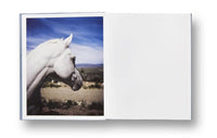 Gregory Halpern: ZZYZX