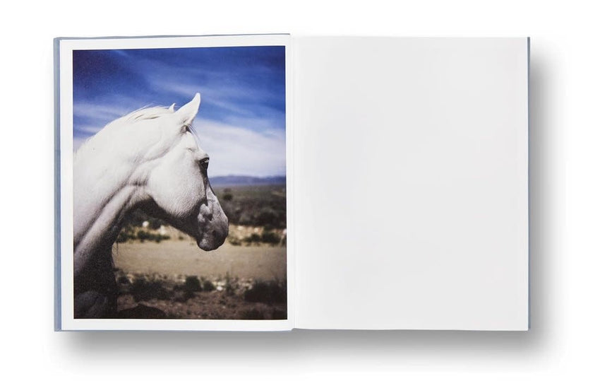 Gregory Halpern: ZZYZX