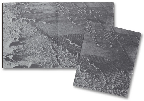 David Campany: a Handful of Dust (Second Edition)