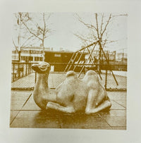 Happy camel from Bedstuy riso print