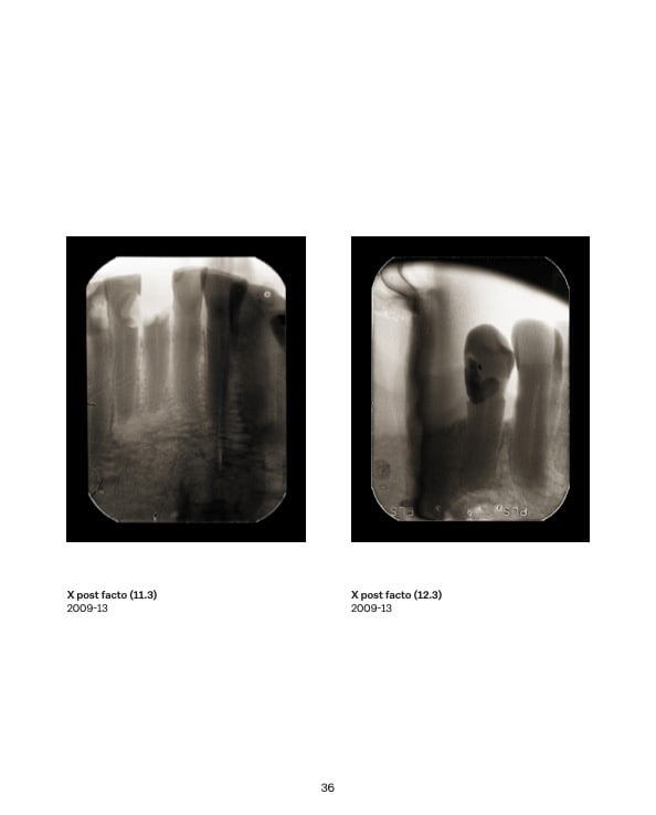 Muriel Hasbun: Tracing Terruño
