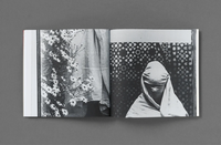 Hoda Afshar: The Fold