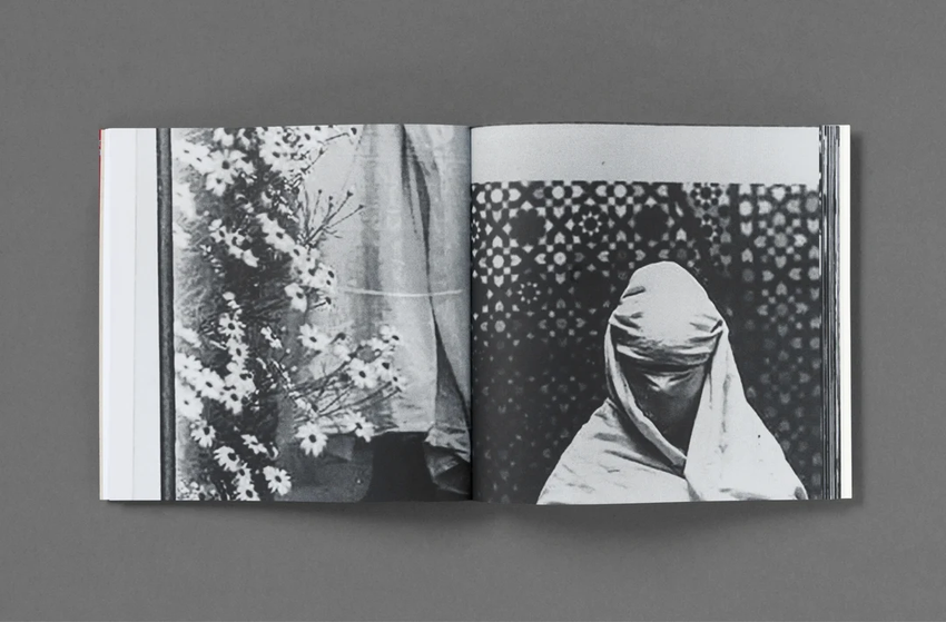 Hoda Afshar: The Fold