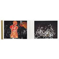 Aya Fujioka: Life Studies