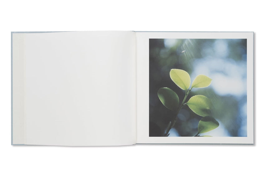 Rinko Kawauchi & Shuntaro Tanikawa: Here and Now