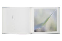 Rinko Kawauchi & Shuntaro Tanikawa: Here and Now