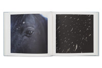 Rinko Kawauchi & Shuntaro Tanikawa: Here and Now