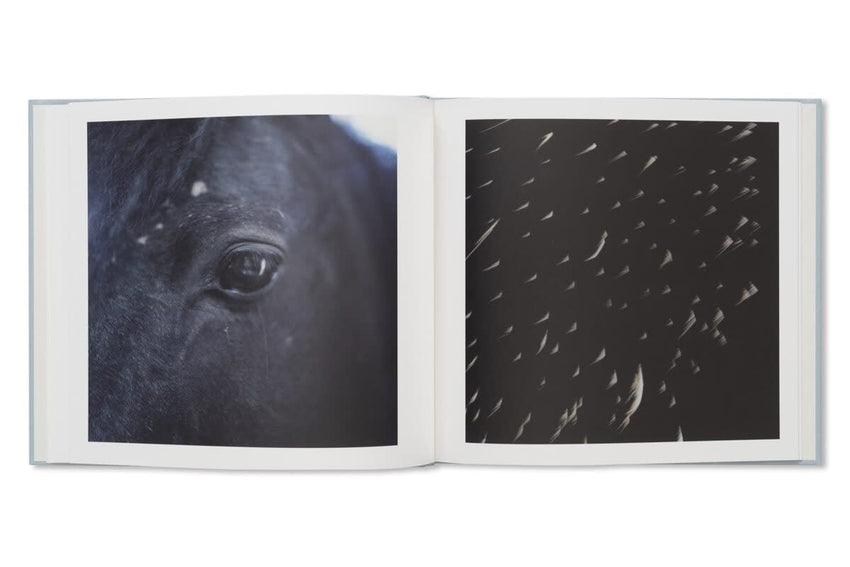 Rinko Kawauchi & Shuntaro Tanikawa: Here and Now