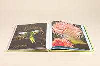 Kristin Schnell: Of Cages and Feathers