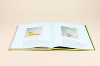 Kristin Schnell: Of Cages and Feathers