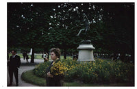 Joel Meyerowitz: Wild Flowers