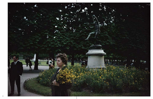Joel Meyerowitz: Wild Flowers