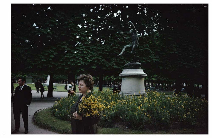 Joel Meyerowitz: Wild Flowers