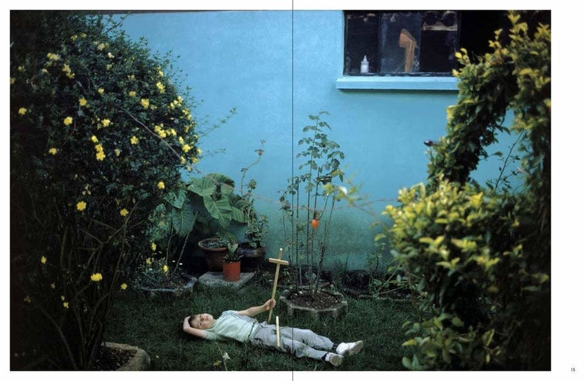 Joel Meyerowitz: Wild Flowers