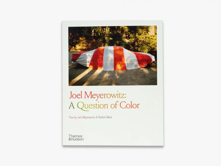 Joel Meyerowitz: A Question of Color