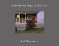 Joel Meyerowitz: Between the Dog and the Wolf