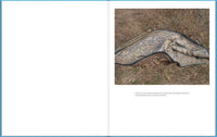 Jason Vaughn & Brad Zellar: Driftless