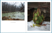 Jason Vaughn & Brad Zellar: Driftless