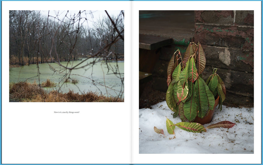 Jason Vaughn & Brad Zellar: Driftless