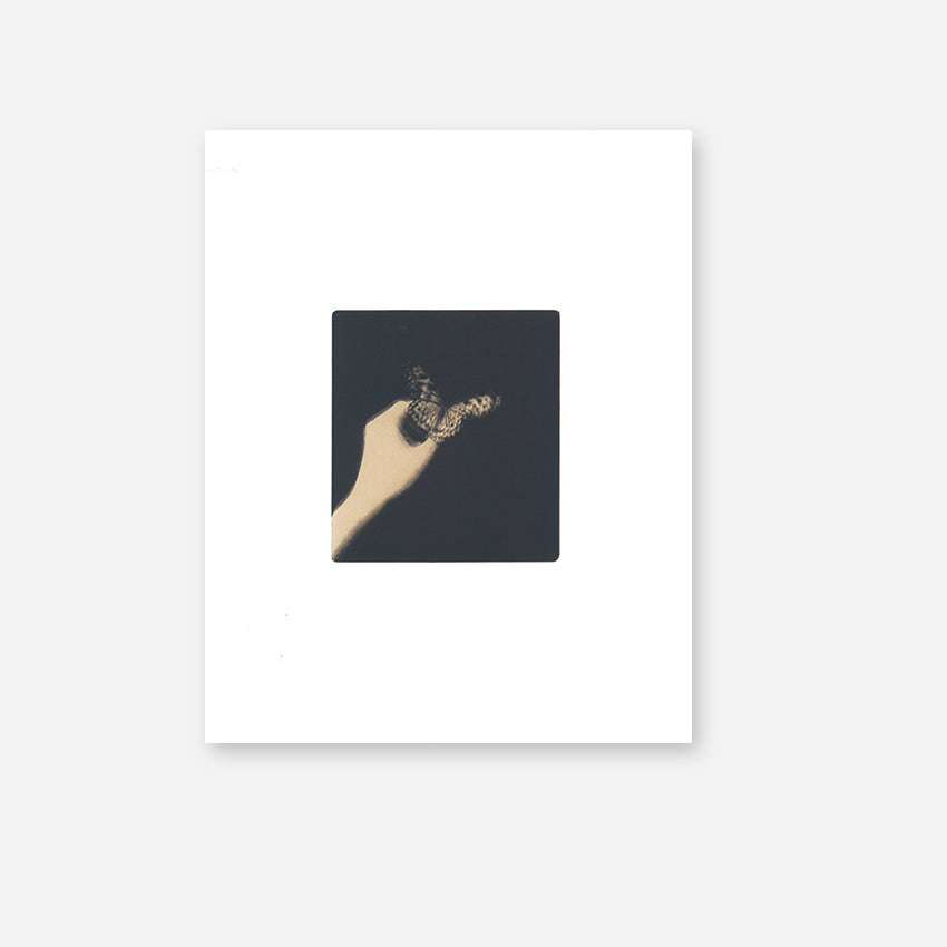 Miho Kajioka: Memories of Future