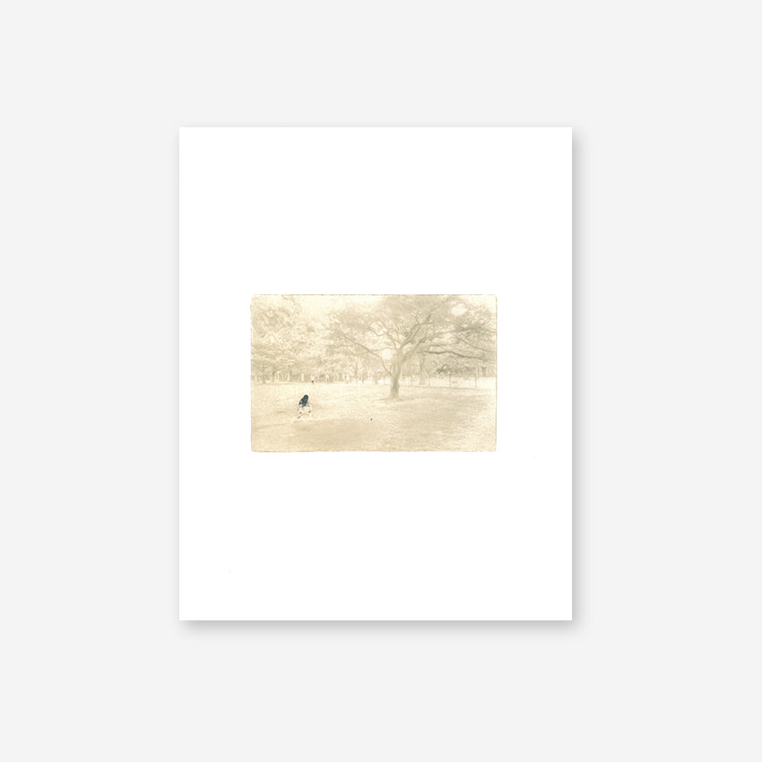 Miho Kajioka: Memories of Future