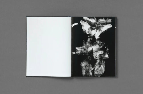 Katherine Hubbard: The Great Room