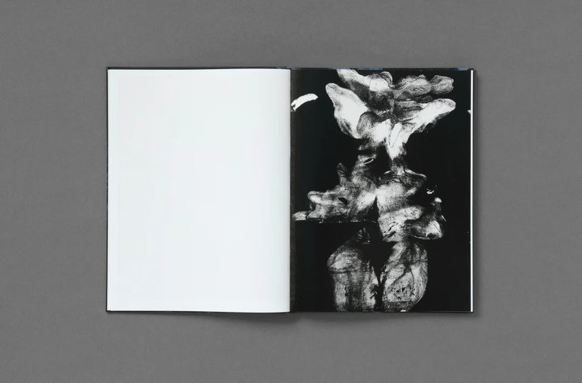 Katherine Hubbard: The Great Room
