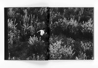 Ken Light: Midnight La Frontera