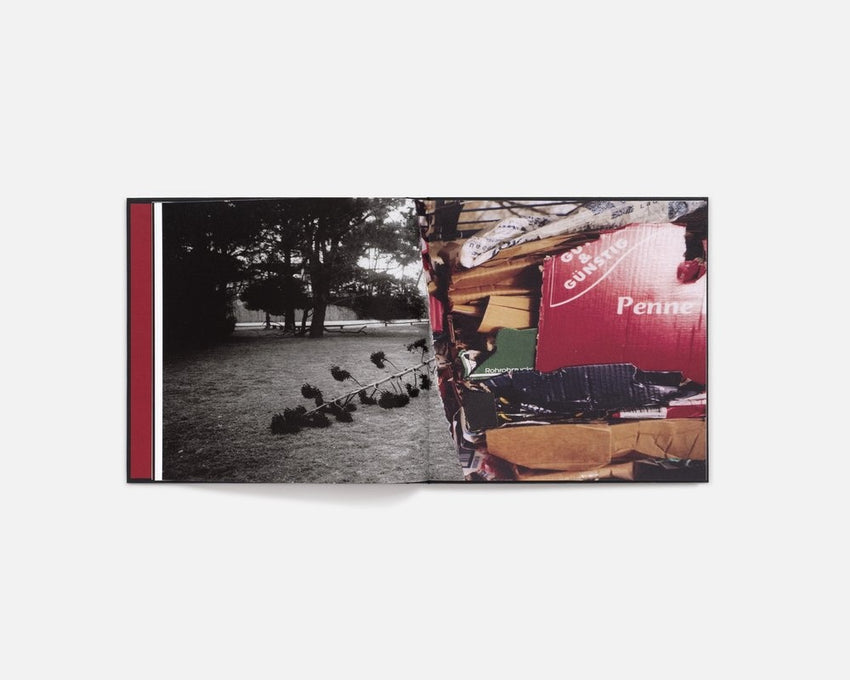 Cansu Korkmaz: Quite a While