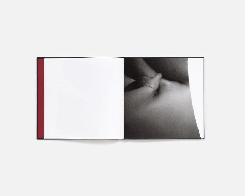 Cansu Korkmaz: Quite a While